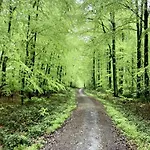 Nyaraló Hoegelia Flensburger Foerde Quern