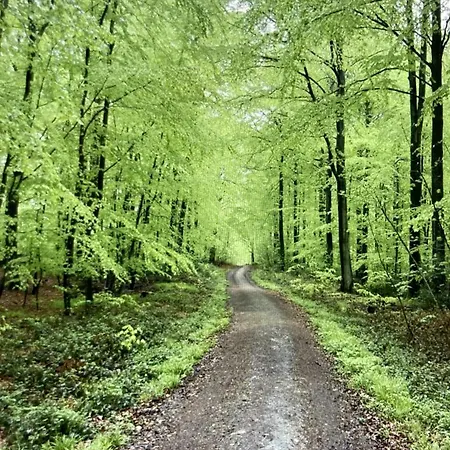 Nyaraló Hoegelia Flensburger Foerde Quern